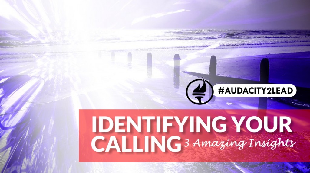#AUDACITY2LEAD finding your calling