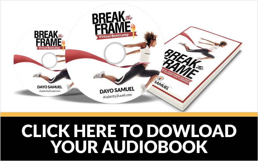 break the frame audiobook set